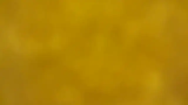 fmodel online show from 16, 12, 2025