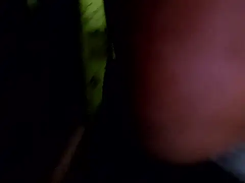 tropikboy online show from 26, 3, 2026