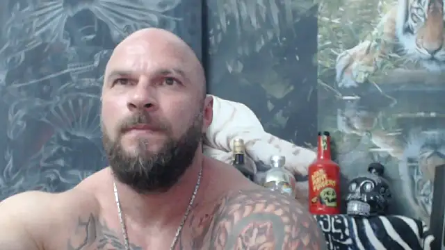 viking 30 online show from 6, 6, 2026