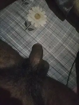 naxusxh online show from 7, 11, 2025