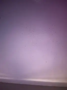 6lue6a6y69 online show from 1, 11, 2025