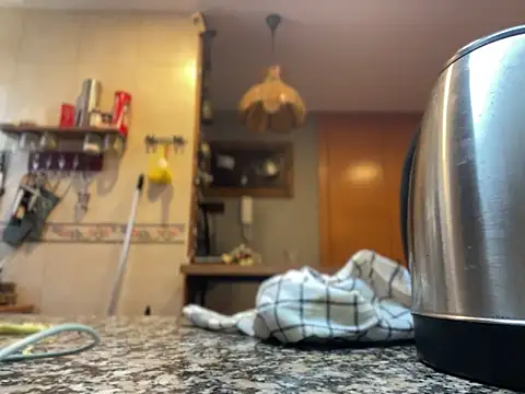 camelia3 online show from 22, 11, 2025