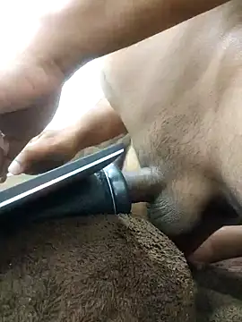 Snapshot of indianbulldelhi chatting on 27, 1, 2025 indianbulldelhi online show from 27, 1, 2025