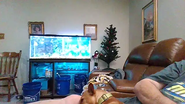 1964peterbilt1 online show from 30, 12, 2024