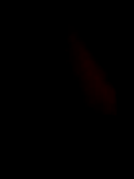 guilherme205 online show from 7, 2, 2026