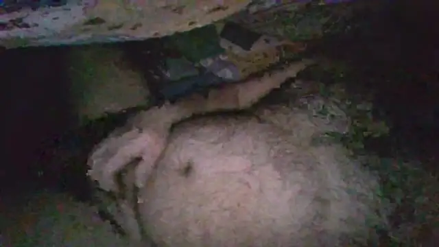 Snapshot of gerilom8787 chatting on 4, 2, 2026 gerilom8787 online show from 4, 2, 2026