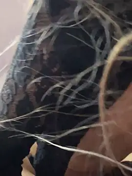 Snapshot of Littlebunny21 chatting on 15, 12, 2024 Littlebunny21 online show from 15, 12, 2024