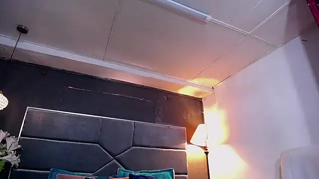 teddyfit19cm online show from 11, 11, 2025