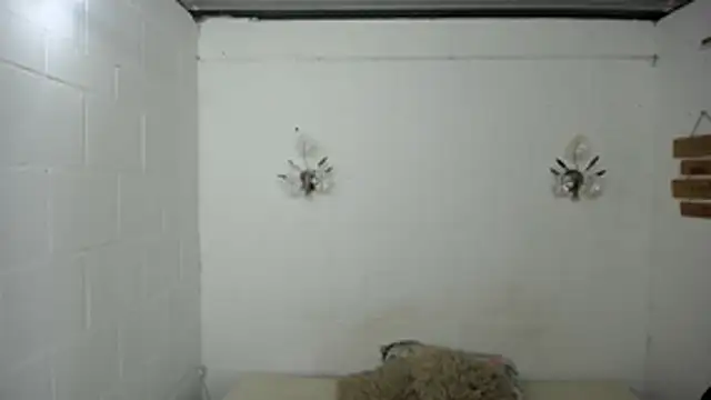 SexyKataShow online show from 5, 7, 2026