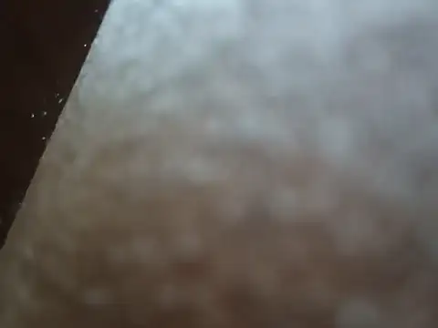 Snapshot of PrinceNoAlbert chatting on 6, 12, 2024 PrinceNoAlbert online show from 6, 12, 2024