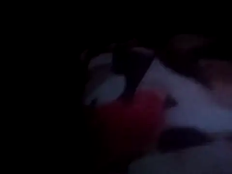 Snapshot of PrinceNoAlbert chatting on 15, 12, 2024 PrinceNoAlbert online show from 15, 12, 2024