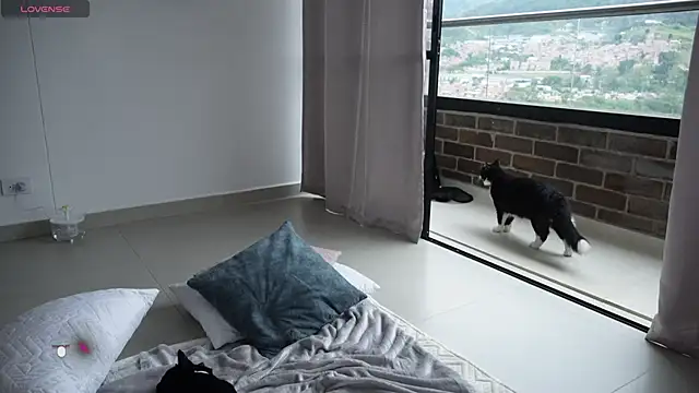 Veronica ar online show from 12, 2, 2025