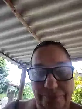 catdool online show from 11, 1, 2025