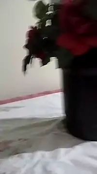 catdool online show from 23, 1, 2025