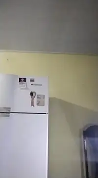 catdool online show from 14, 2, 2025