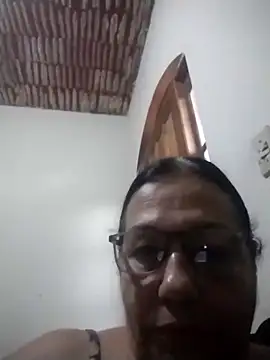 catdool online show from 11, 3, 2026