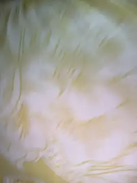 Snapshot of Dhiyapink chatting on 2, 12, 2024 Dhiyapink online show from 2, 12, 2024