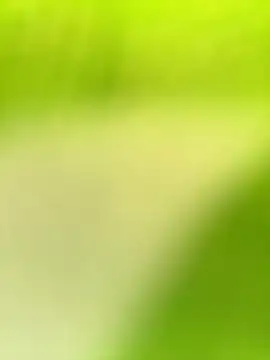 Snapshot of Dhiyapink chatting on 21, 12, 2024 Dhiyapink online show from 21, 12, 2024