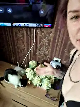 Snapshot of LazyTanukii chatting on 11, 3, 2025 LazyTanukii online show from 11, 3, 2025