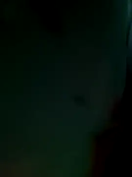 Bibcock2025 online show from 17, 12, 2025