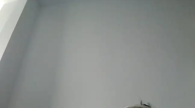 FallenDevil online show from 29, 12, 2024