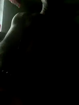 xxxsexy27 online show from 2, 7, 2026