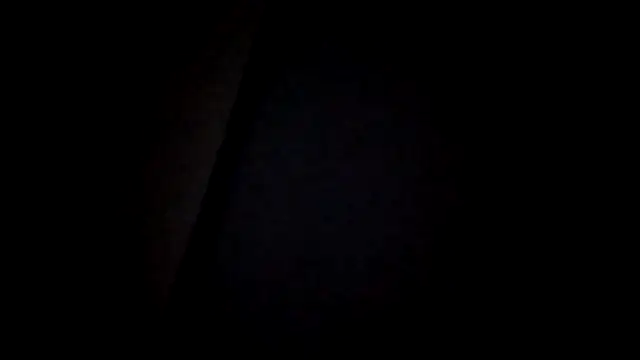 zaadslet2000 online show from 11, 7, 2026