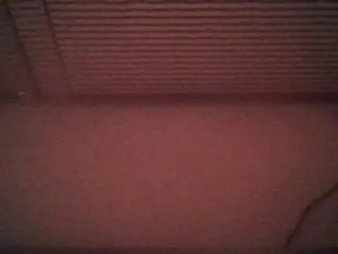 magicmax86 online show from 19, 12, 2025