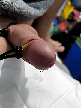 Norbi0803 online show from 9, 1, 2026