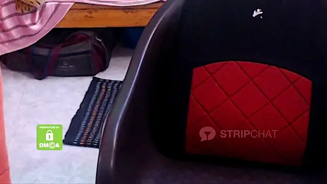 Novapol online show from 5, 1, 2025