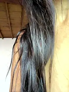 pleasureMyAss- online show from 17, 1, 2026