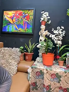 uma patna000 online show from 31, 12, 2024