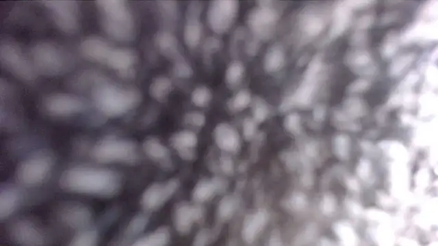 ADRIANNA FOX online show from 21, 2, 2025