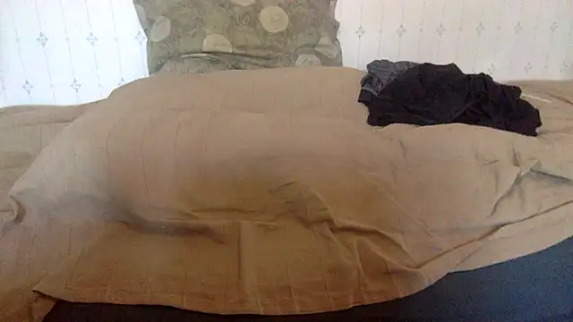 hamstergrabben online show from 24, 2, 2025