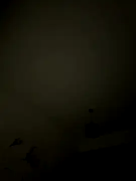 1Aleks13 online show from 12, 11, 2025