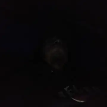 AlexAlejandro13 online show from 3, 2, 2026