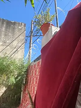 Alicbranca online show from 15, 3, 2026