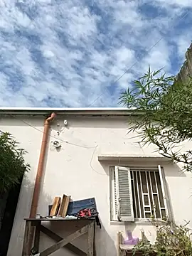 Alicbranca online show from 27, 3, 2026