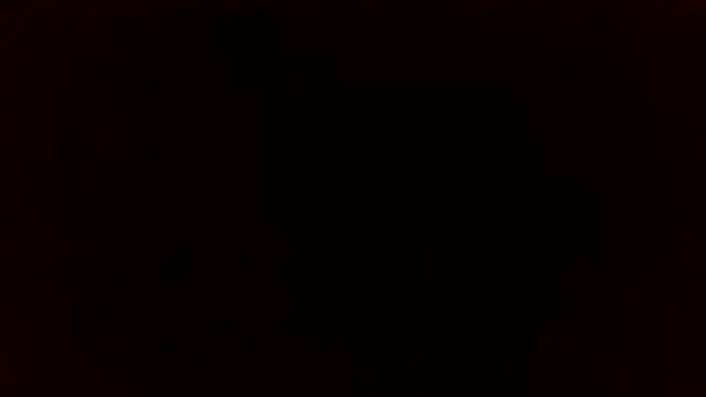 Star-Night online show from 6, 4, 2026