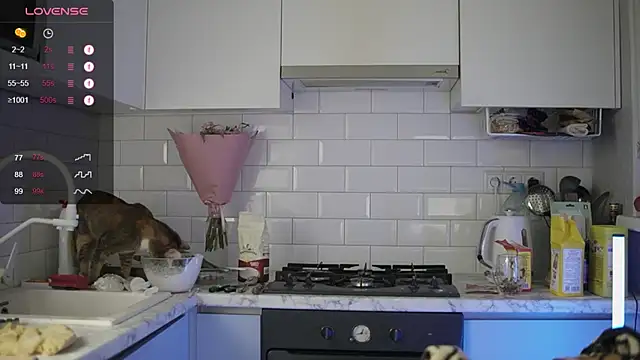 melanielwithu online show from 13, 12, 2024