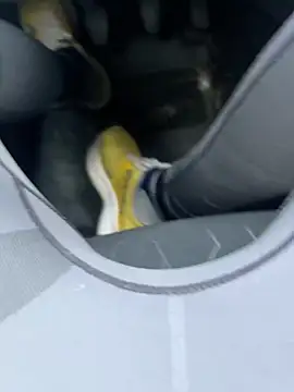 Mark3706 online show from 2, 12, 2024