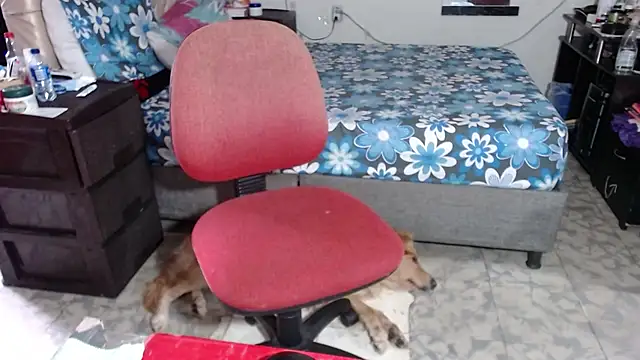 Barbiegomez online show from 26, 11, 2025