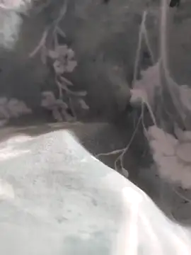 Elixire1 online show from 6, 1, 2026