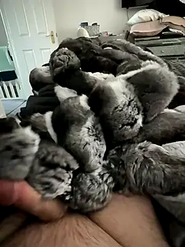 Snapshot of Furdale chatting on 15, 11, 2025 Furdale online show from 15, 11, 2025