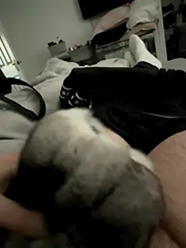 Snapshot of Furdale chatting on 16, 12, 2025 Furdale online show from 16, 12, 2025