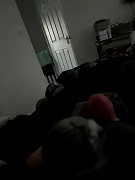 Snapshot of Furdale chatting on 15, 1, 2026 Furdale online show from 15, 1, 2026