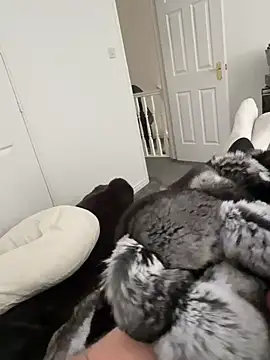 Furdale online show from 18, 3, 2026