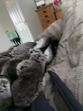 Furdale online show from 30, 3, 2026