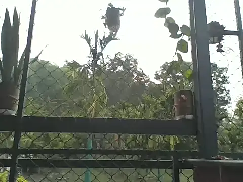 Indiaguy4u online show from 23, 3, 2026