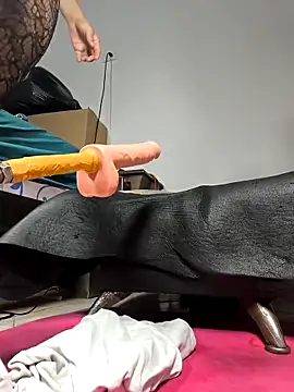 shelby kutter online show from 18, 4, 2026